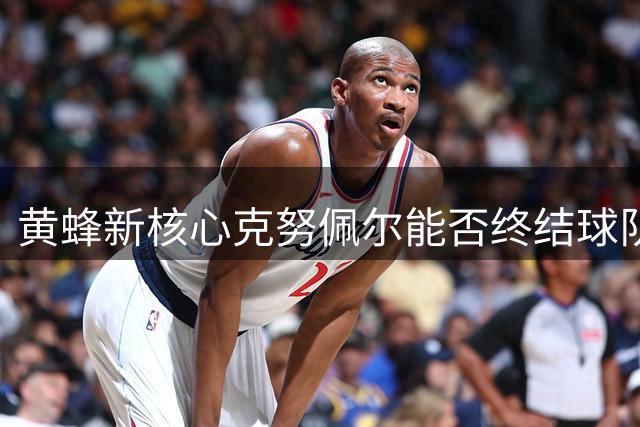 黄蜂新核心克努佩尔能否终结球队季后赛荒？